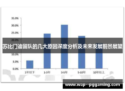 苏比门迪留队的几大原因深度分析及未来发展前景展望
