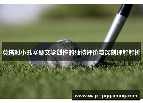 莫塔对小孔塞桑文学创作的独特评价与深刻理解解析 莫塔对小孔塞桑文学创作的独特评价与深刻理解解析