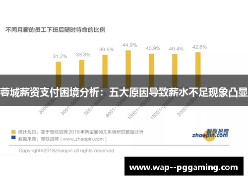 蓉城薪资支付困境分析：五大原因导致薪水不足现象凸显