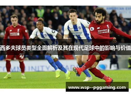 西多夫球员类型全面解析及其在现代足球中的影响与价值