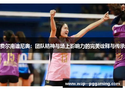 费尔南迪尼奥：团队精神与场上影响力的完美诠释与传承