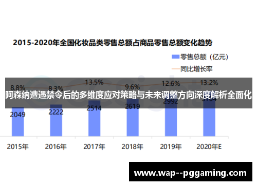 阿森纳遭遇禁令后的多维度应对策略与未来调整方向深度解析全面化
