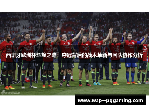 西班牙欧洲杯辉煌之路：夺冠背后的战术革新与团队协作分析