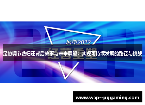 足协调节费归还背后故事与未来展望：实现可持续发展的路径与挑战