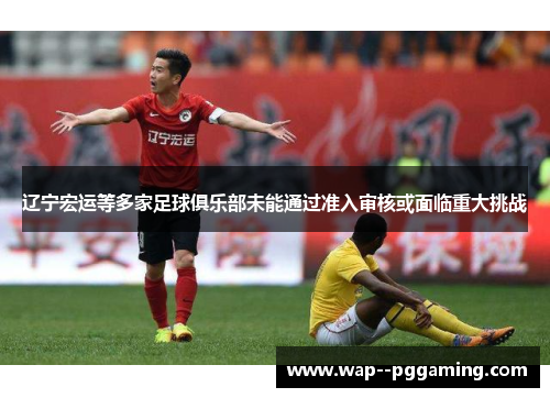 辽宁宏运等多家足球俱乐部未能通过准入审核或面临重大挑战